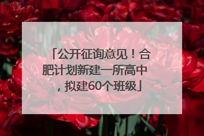 公开征询意见！合肥计划新建一所高中，拟建60个班级