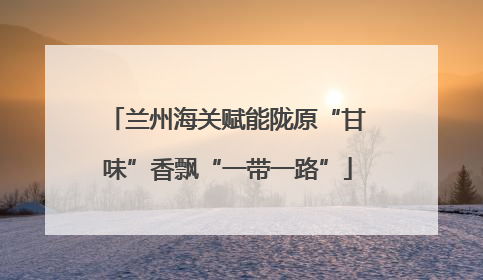 兰州海关赋能陇原“甘味”香飘“一带一路”
