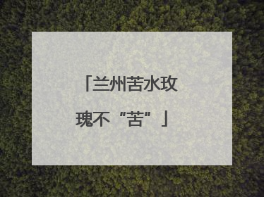 兰州苦水玫瑰不“苦”