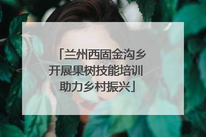 兰州西固金沟乡开展果树技能培训 助力乡村振兴