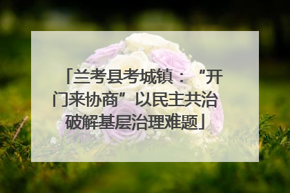 兰考县考城镇：“开门来协商”以民主共治破解基层治理难题