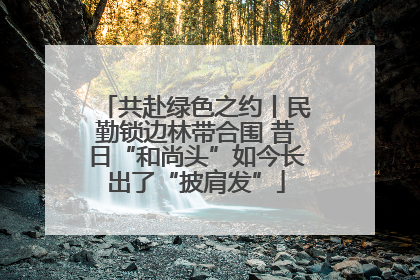 共赴绿色之约丨民勤锁边林带合围 昔日“和尚头”如今长出了“披肩发”