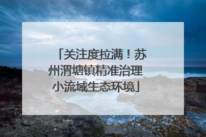 关注度拉满！苏州渭塘镇精准治理小流域生态环境