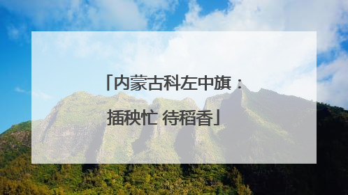 内蒙古科左中旗：插秧忙 待稻香