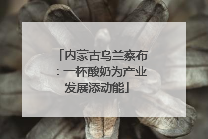 内蒙古乌兰察布：一杯酸奶为产业发展添动能
