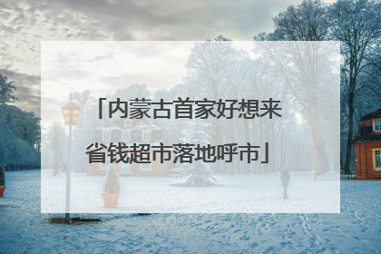 内蒙古首家好想来省钱超市落地呼市
