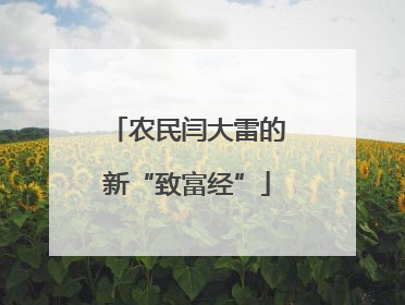 农民闫大雷的新“致富经”