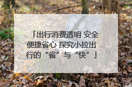 出行消费透明 安全便捷省心 探究小拉出行的“省”与“快”