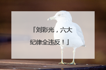 刘彩光，六大纪律全违反！