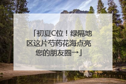 初夏C位！绿隔地区这片芍药花海点亮您的朋友圈→