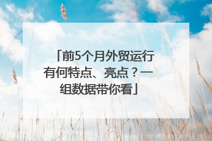 前5个月外贸运行有何特点、亮点？一组数据带你看