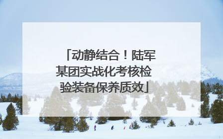 动静结合！陆军某团实战化考核检验装备保养质效
