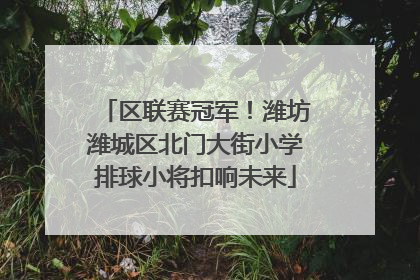 区联赛冠军！潍坊潍城区北门大街小学排球小将扣响未来