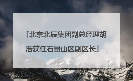 北京北辰集团副总经理胡浩获任石景山区副区长