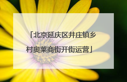 北京延庆区井庄镇乡村奥莱商街开街运营