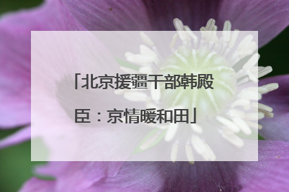 北京援疆干部韩殿臣：京情暖和田