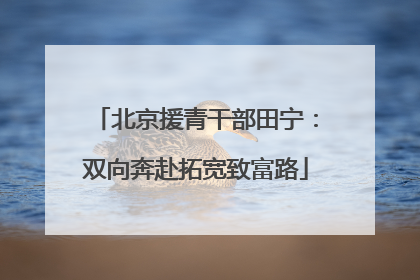 北京援青干部田宁：双向奔赴拓宽致富路