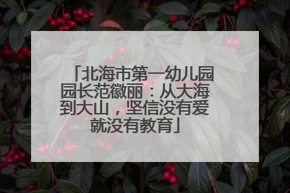 北海市第一幼儿园园长范徽丽：从大海到大山，坚信没有爱就没有教育