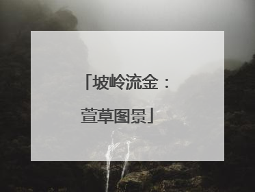 坡岭流金：萱草图景