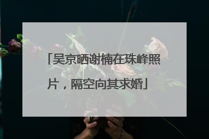 吴京晒谢楠在珠峰照片，隔空向其求婚