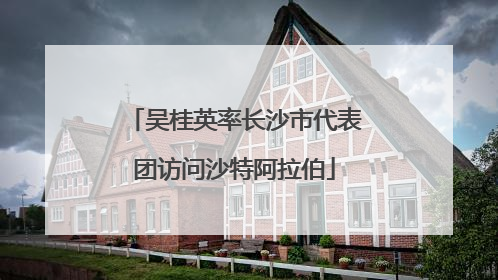 吴桂英率长沙市代表团访问沙特阿拉伯