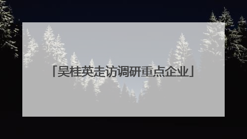 吴桂英走访调研重点企业