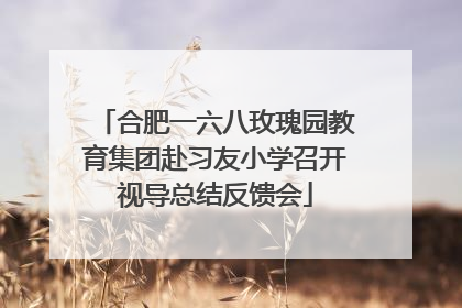 合肥一六八玫瑰园教育集团赴习友小学召开视导总结反馈会