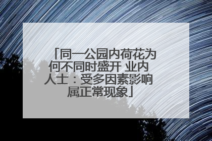 同一公园内荷花为何不同时盛开 业内人士：受多因素影响 属正常现象