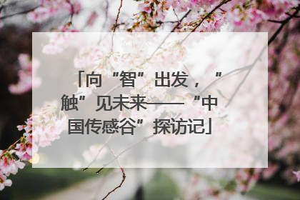 向“智”出发，“触”见未来——“中国传感谷”探访记