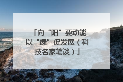 向“阳”要动能 以“绿”促发展（科技名家笔谈）