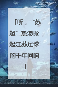 听，“苏超”热浪掀起江苏足球的千年回响