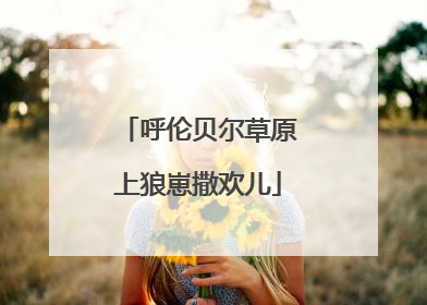 呼伦贝尔草原上狼崽撒欢儿