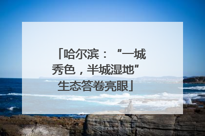 哈尔滨：“一城秀色，半城湿地”生态答卷亮眼
