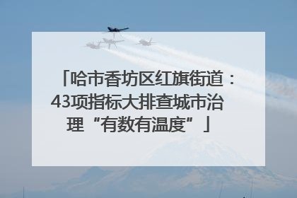 哈市香坊区红旗街道：43项指标大排查城市治理“有数有温度”