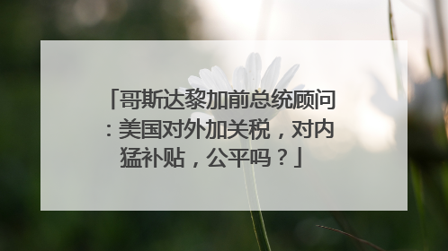哥斯达黎加前总统顾问：美国对外加关税，对内猛补贴，公平吗？