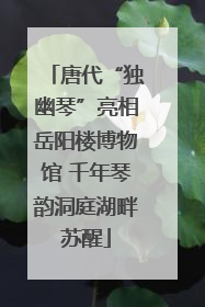 唐代“独幽琴”亮相岳阳楼博物馆 千年琴韵洞庭湖畔苏醒