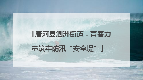 唐河县泗洲街道：青春力量筑牢防汛“安全堤”