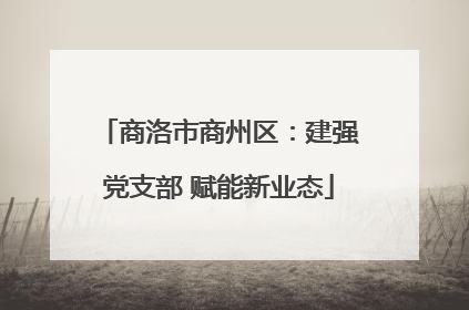 商洛市商州区：建强党支部 赋能新业态