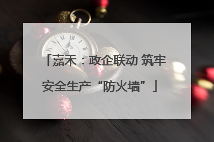嘉禾：政企联动 筑牢安全生产“防火墙”