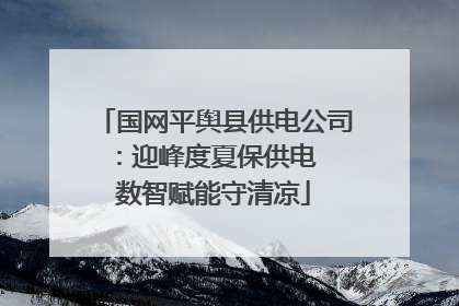 国网平舆县供电公司：迎峰度夏保供电  数智赋能守清凉