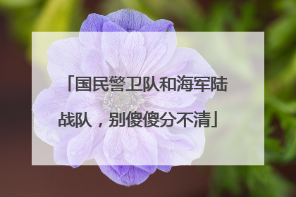 国民警卫队和海军陆战队，别傻傻分不清