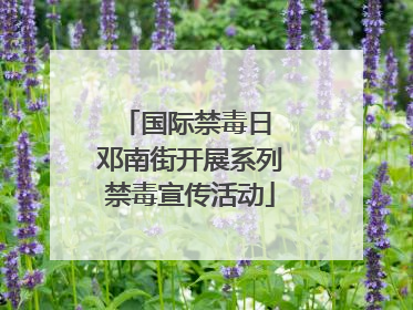 国际禁毒日 邓南街开展系列禁毒宣传活动