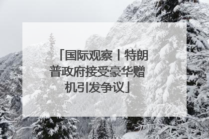 国际观察丨特朗普政府接受豪华赠机引发争议