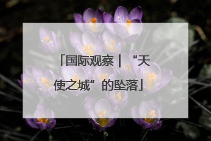 国际观察｜“天使之城”的坠落
