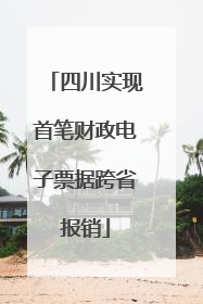 四川实现首笔财政电子票据跨省报销