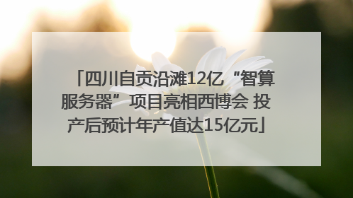 四川自贡沿滩12亿“智算服务器”项目亮相西博会 投产后预计年产值达15亿元