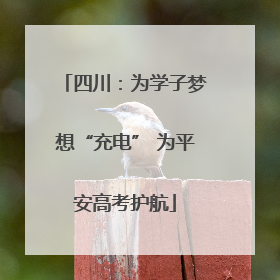 四川：为学子梦想“充电” 为平安高考护航