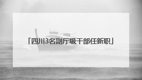 四川3名副厅级干部任新职