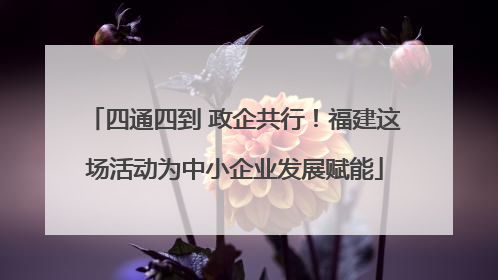 四通四到 政企共行！福建这场活动为中小企业发展赋能