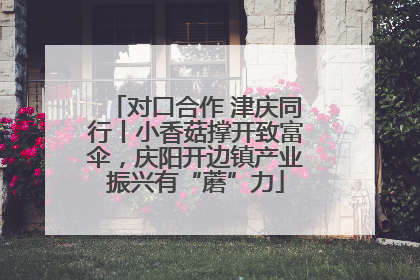 对口合作 津庆同行丨小香菇撑开致富伞，庆阳开边镇产业振兴有“蘑”力